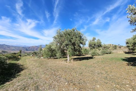 Villa i Collesano, Palermo, Collesano - € 95.000 | Ref: 10518 - foto 6
